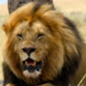 Meet your Posher, Ben